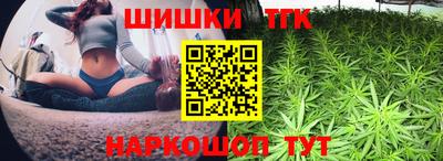 стаф Лесосибирск