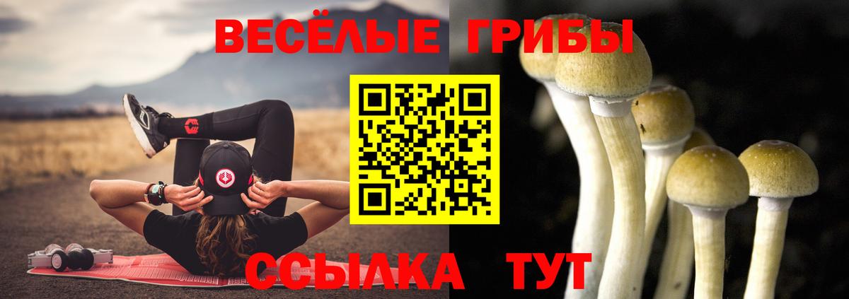 Псилоцибиновые грибы Cubensis  Вход с VPN  Туймазы 